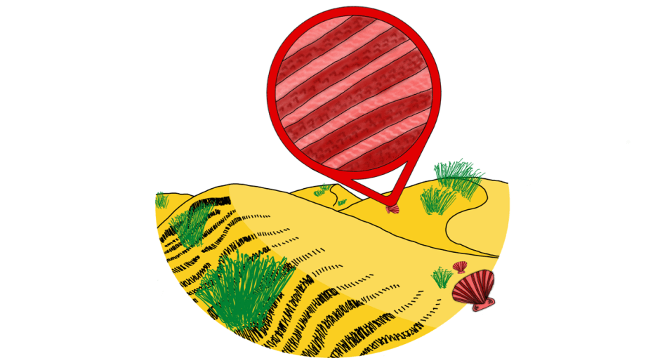 Hoe laat je complexe patronen en structuren spontaan ontstaan? – Wim&nbsp;Noorduin