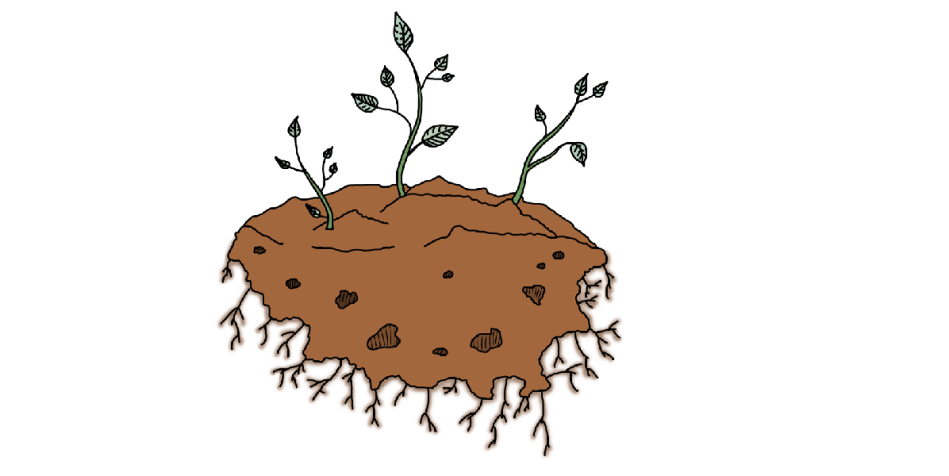 Hoe gaan we om met onze bodems? – Gerlinde de&nbsp;Deyn